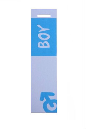 6 langwerpige labels voor doopsuikerdoosje Boy