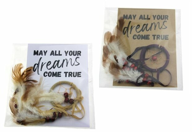 Gelukszakje kaart may all your dreams come true ronde dromenvanger