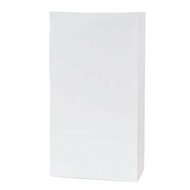 Wit papier blokbodem zakjes 9 x 6 x 18 cm 10 stuks